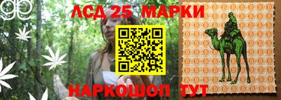 эйфоретик Малгобек