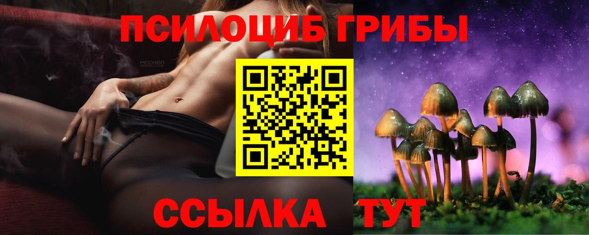 Галлюциногенные грибы Psilocybe  Вход с VPN  Гусь-Хрустальный 